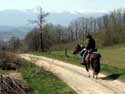 Trail rides on hucul horses - Giant Mountains, Izera Mountains ...